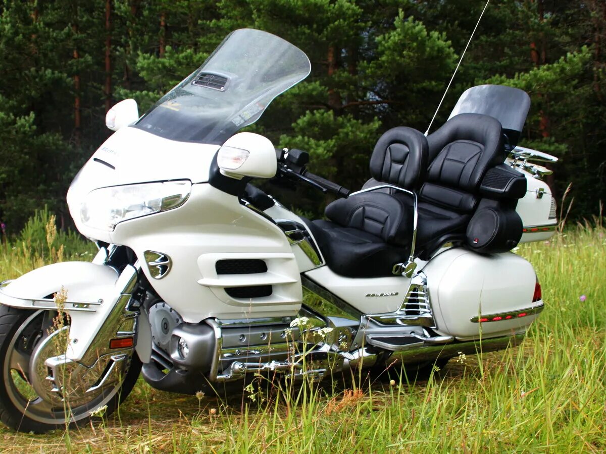 1800 в бел. Honda Gold Wing 1800. Хонда Голд Винг 1800 белый. Honda Gold Wing 650. Honda Gold Wing 1800 белая.