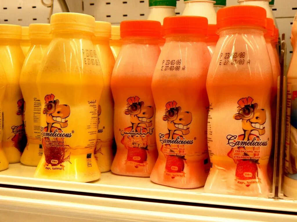 верблюжье молоко молочные продукции. молоко в дубае. верблюжье молоко дубай. верблюжье молоко дубай. Camel milk крем.