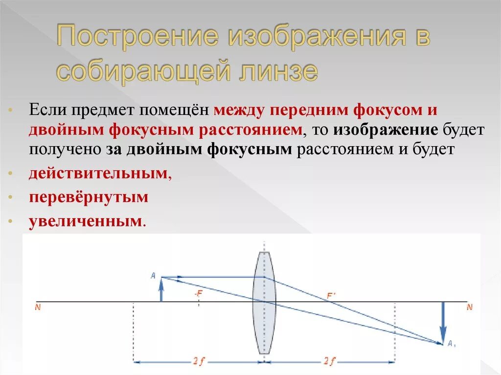 Собирающая линза в качестве лупы дает