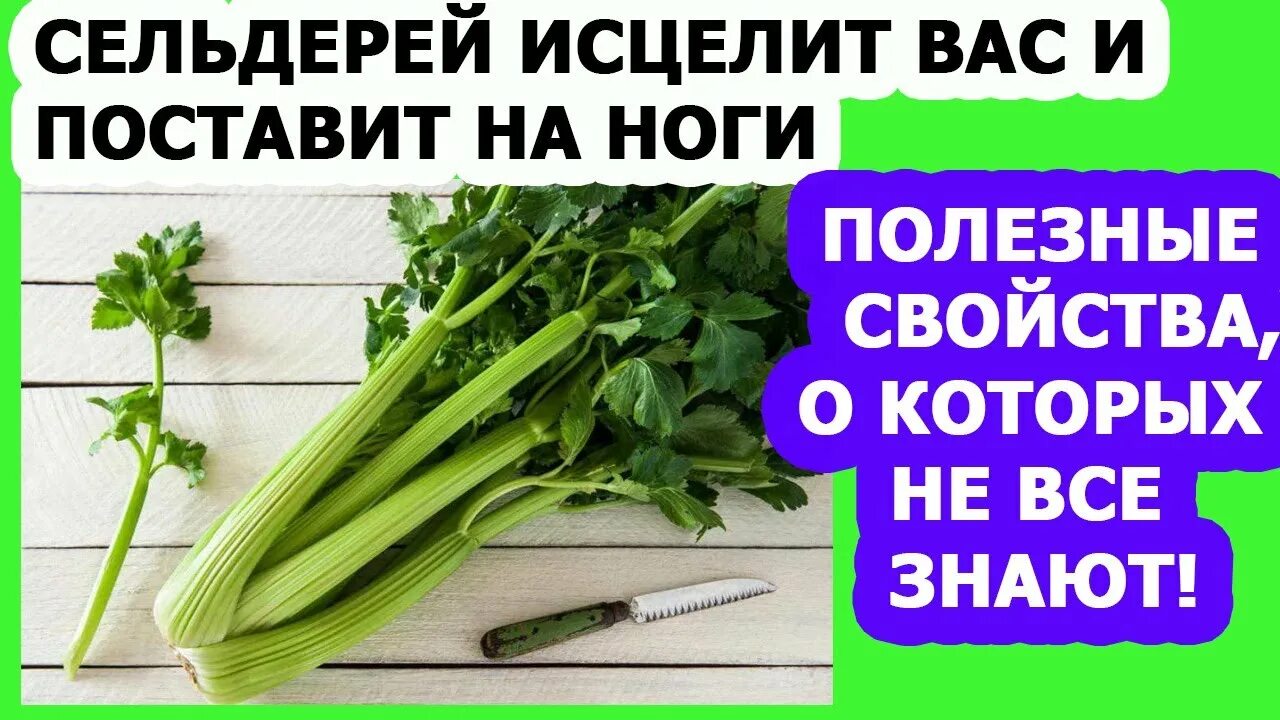 Сельдерей для потенции для мужчин. Сельдерей корневой. Чем полезен сельдерей для мужчин. Сельдерей польза и вред при сахарном диабете. Сельдерей польза и вред при сахарном диабете.