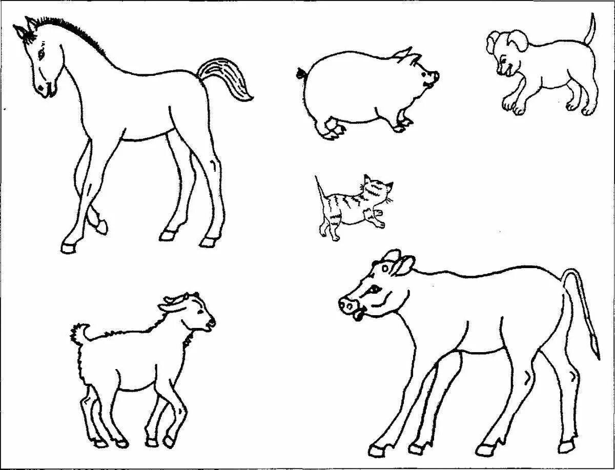 Раскраска группы животных. Домашние животные картинки раскраски. Задания с животными для детей. Животные задания для дошкольников. Домашние животные задания.