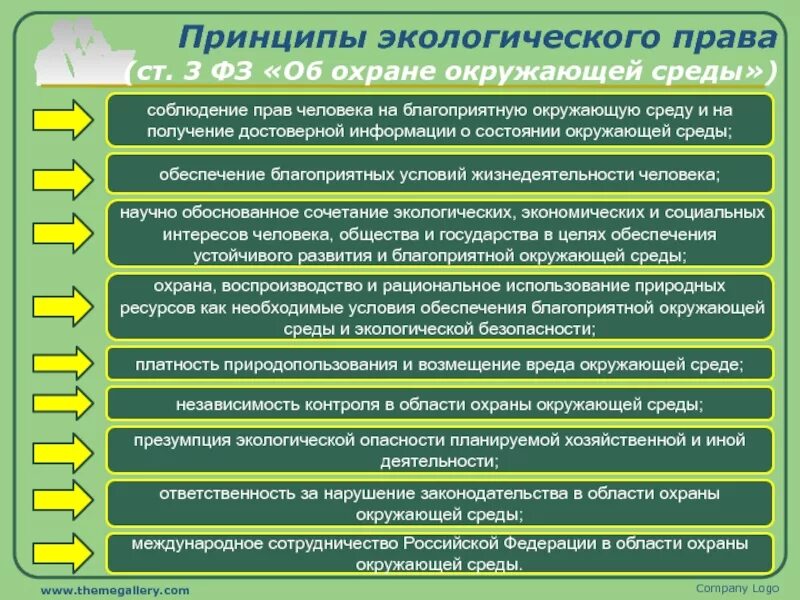 Меры защиты жизни и здоровья. Экологические принципы. Принципы экологической среды. Основные экологические принципы.