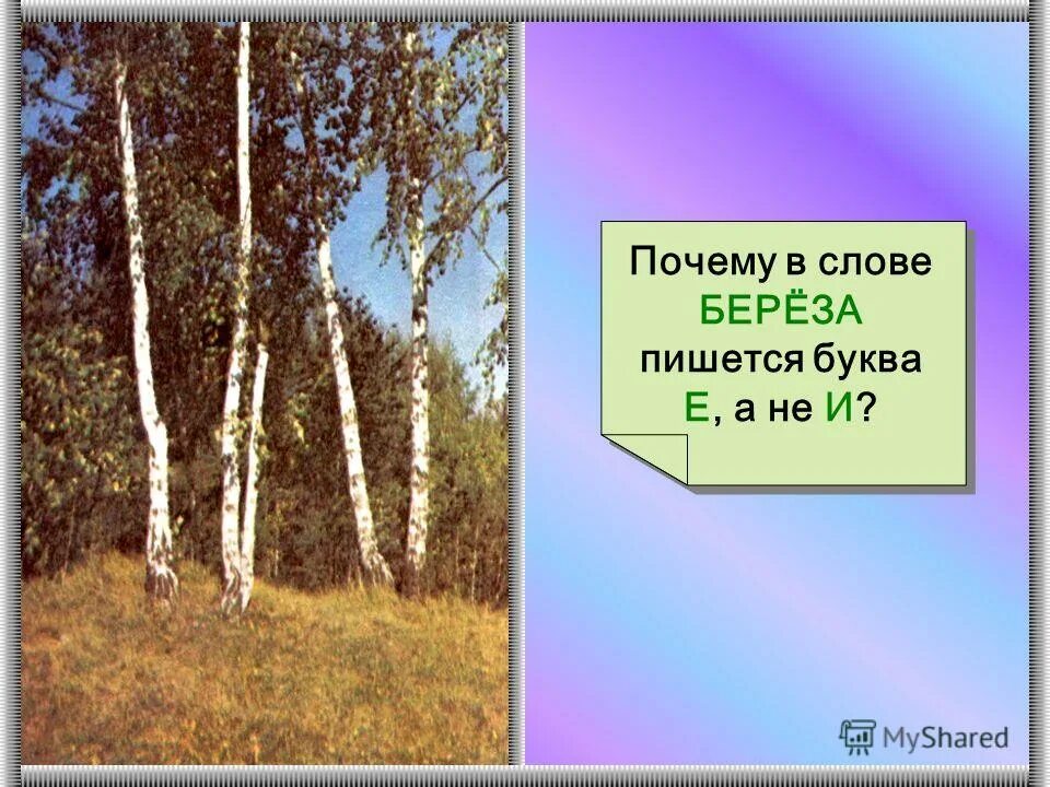 Как пишется березка. Как пишется слово берёза. Берёза правописание. Береза как написать слово береза. Как правильно пишется слово березонька.