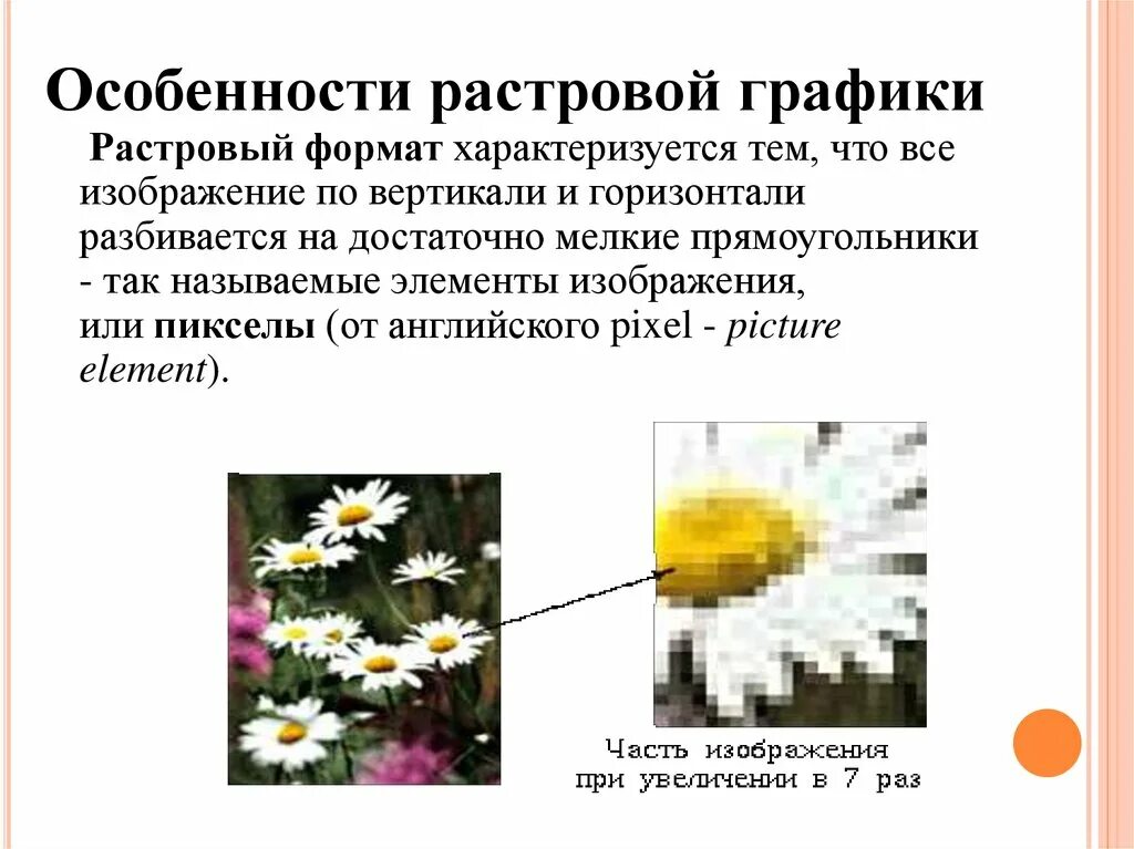 Особенности растровой графики. Признаки растровой графики. Особенности растровой графики графики. Растровая Графика признаки. Увеличение размера изображения растровая графика