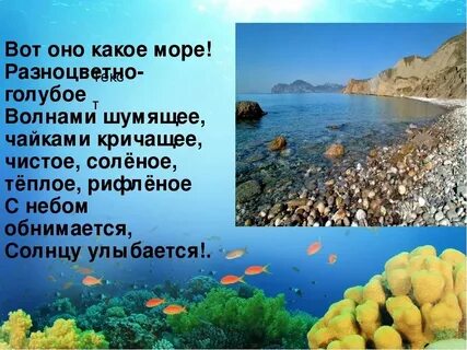 Море море расскажи мне где она
