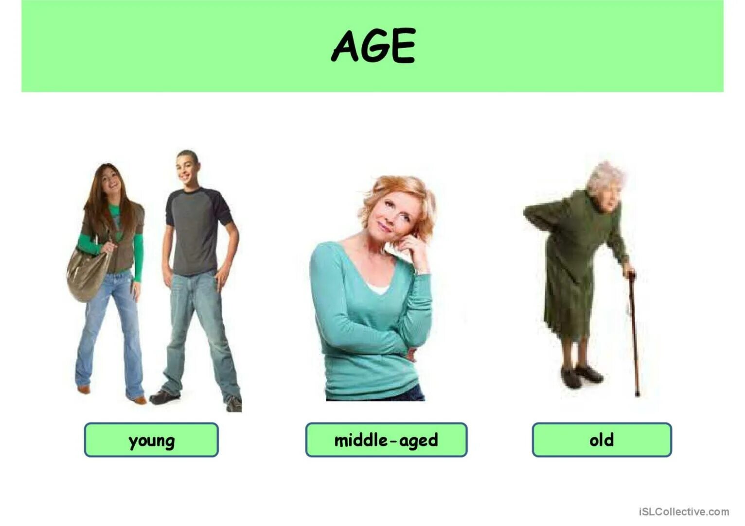 Middle-aged/Middle age. Young Middle age. Age Vocabulary. Age Flashcard.