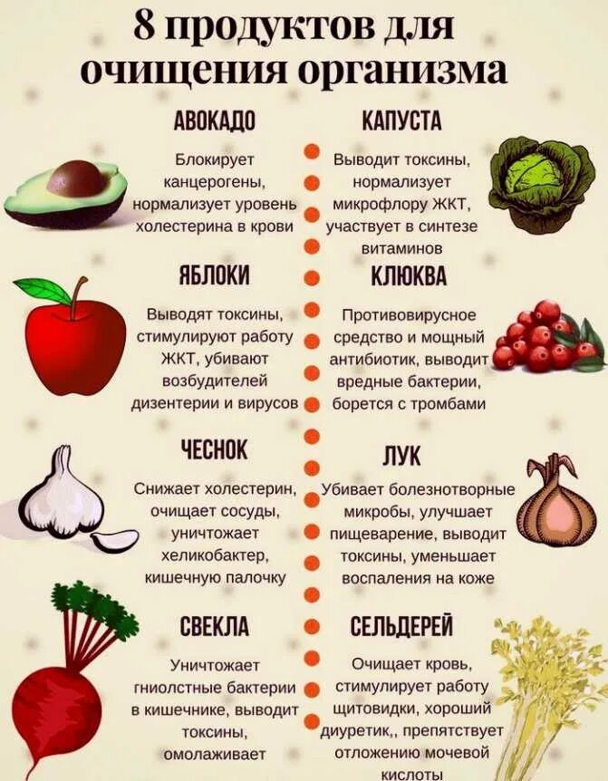На какой желудок есть фрукты
