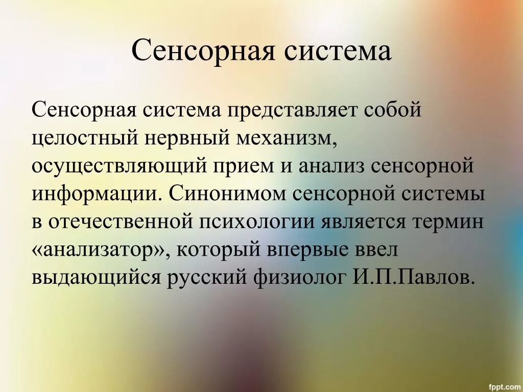 Тема сенсорная система. Сенсорная система. Сенсорная система это в психологии. Понятие о сенсорных системах. Сенсорно Перцептивная организация человека.