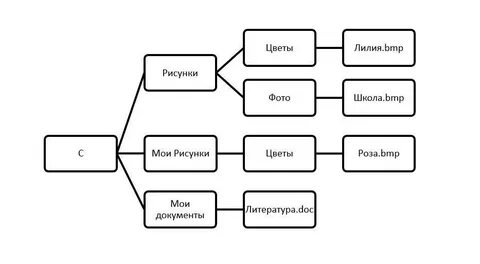 Структура дерева каталогов