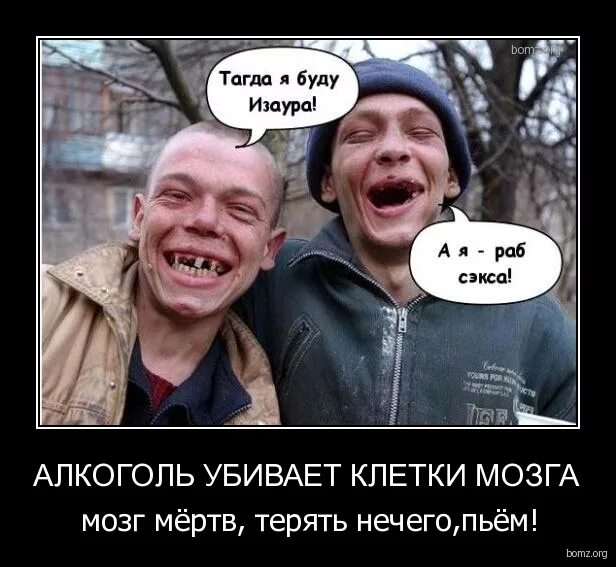 пропитые мозги