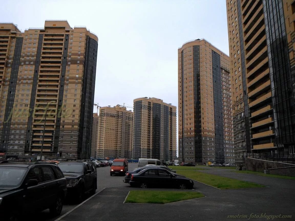 Парнас Санкт-Петербург. Парнас новостройки Северная Долина. Метро Парнас район. Северная Долина Питер гетто