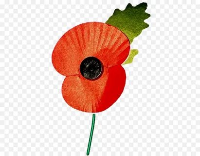 Poppy day