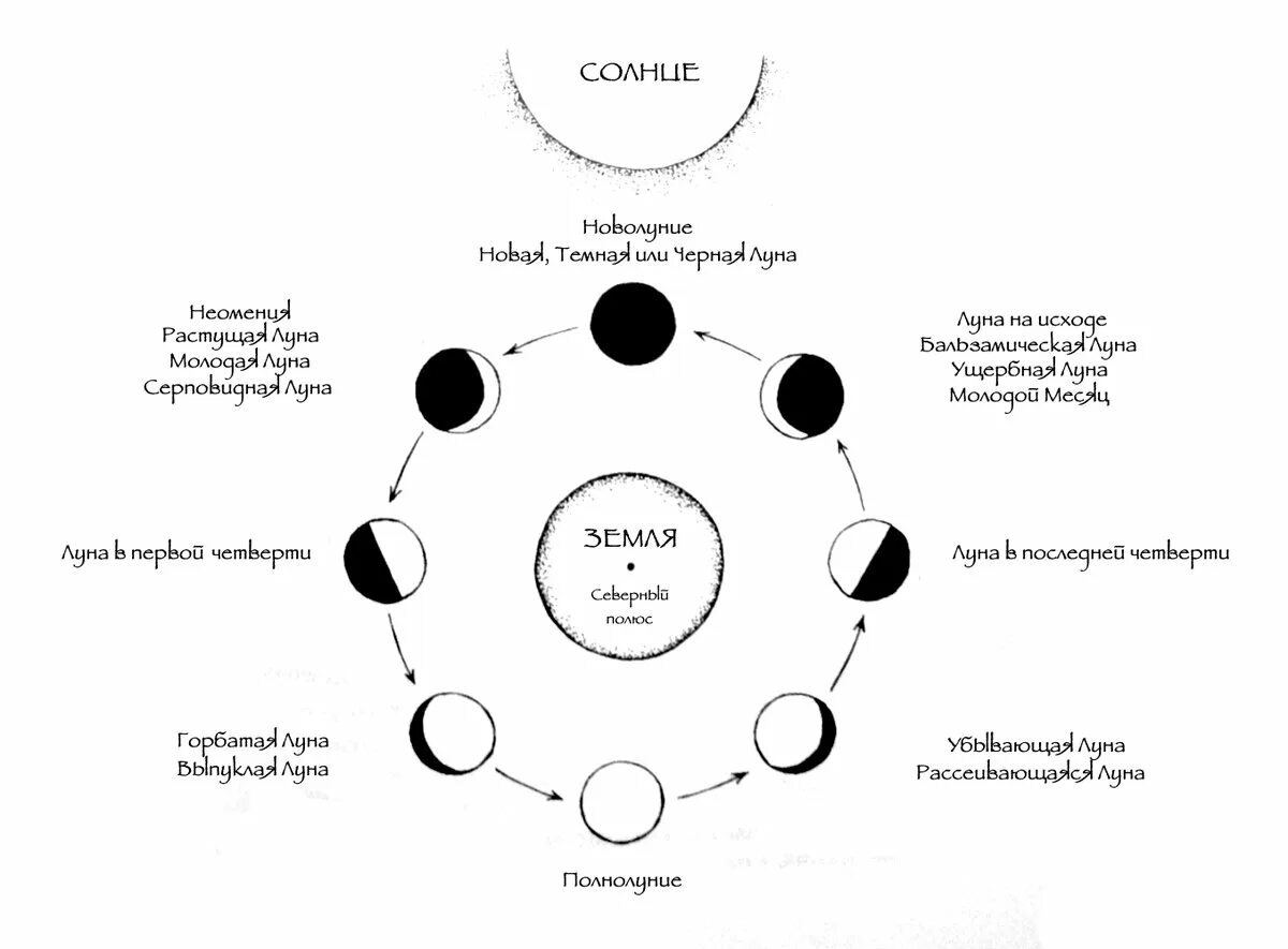 Схема полнолуния. Фаза новолуния чертеж. Бальзамическая фаза Луны. Циклы Луны схема. Фазы Луны схема.
