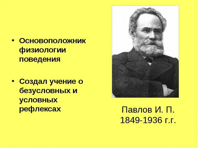 Физиологическое поведение. Учение о высшей нервной деятельности и условных рефлексах. учение об условных рефлексах создал. основоположники учения о рефлексе. поведение это физиология.