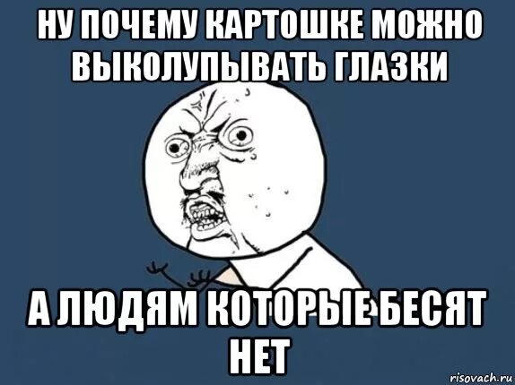 Выколупывать глазки. Почему картошке можно выколупывать глазки. Картошке можно выколупывать глазки а людям. Почему картошке можно выколупывать глазки а людям которые. Почему картошке можно