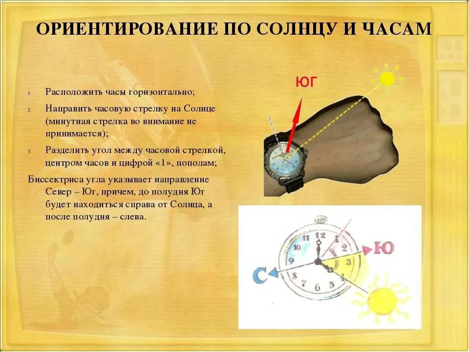 Ориентирование по часам ОБЖ. Ориентирование по солнцу. Способы ориентирования по солнцу. Ориентирование на местности по часам. Ориентирование на местности видео 2 класс