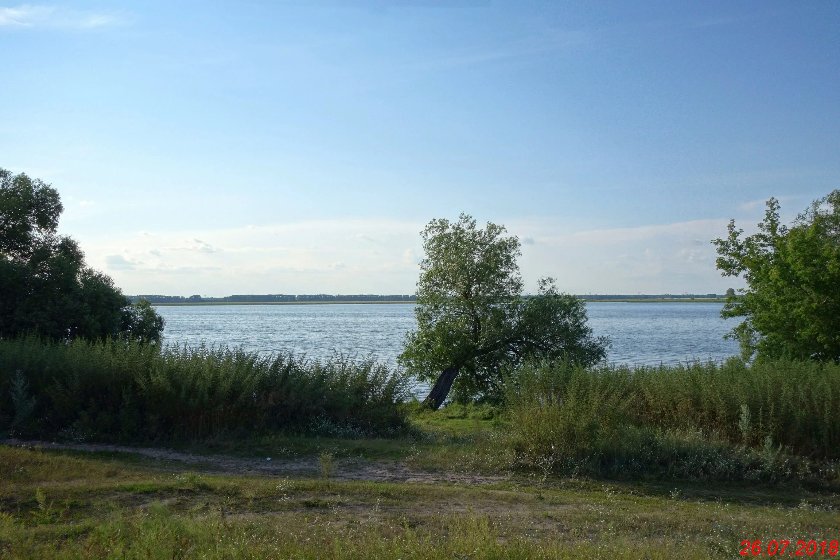 Село Кадниково Свердловская область озеро. Село Кадниково Мамонтовский район. Кадниково пруд. Кадниково Алтайский край. Кадниково алтайский край мамонтовский