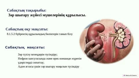 Рианна атақтылардың жалаңаш порносы