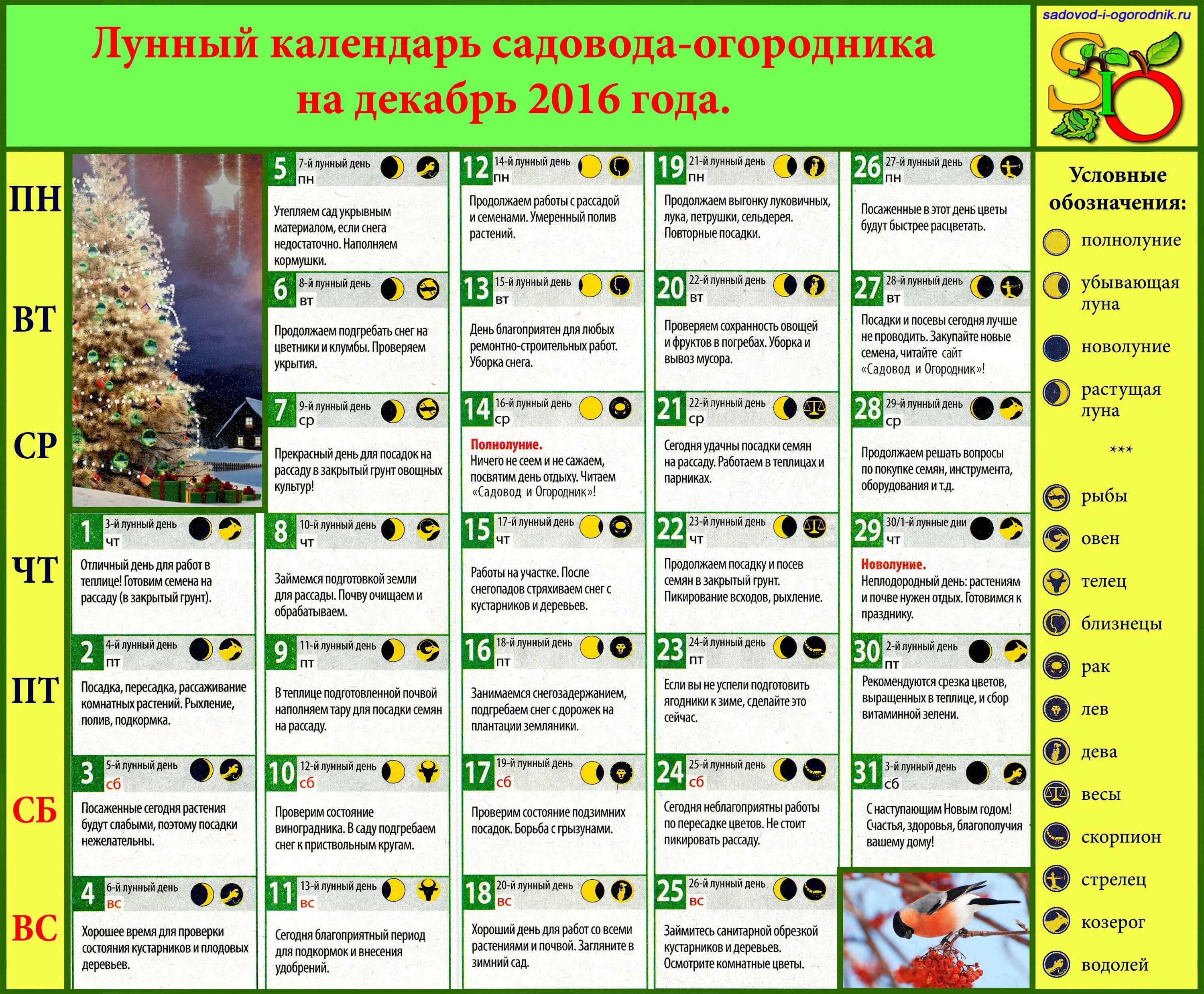 Посевной календарь картофеля. Календарь садовода. Посевной календарь на август. Календарь посадок на 2020 год для садоводов и огородников. Лунный посевной календарь на июнь мир космоса.