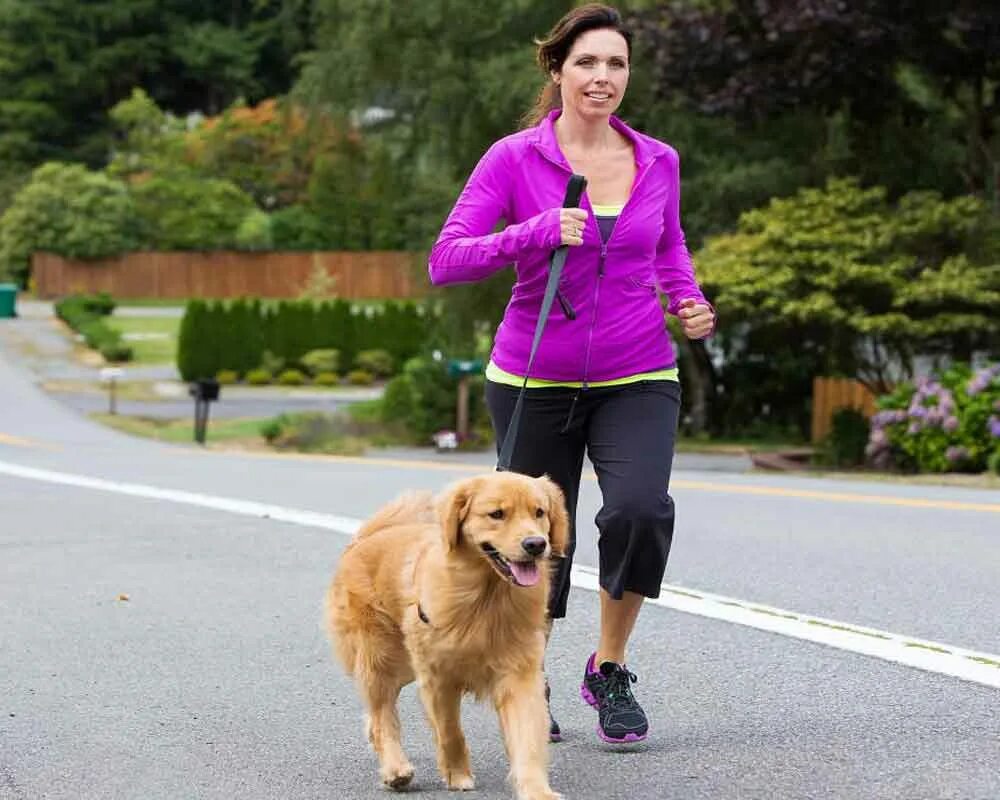 Walking with Dog. Walking Pets. Сопровождать домашних животных. Women Walking with a Dog 2dфото. Walking pet