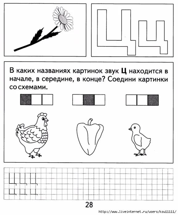 Занятие ц