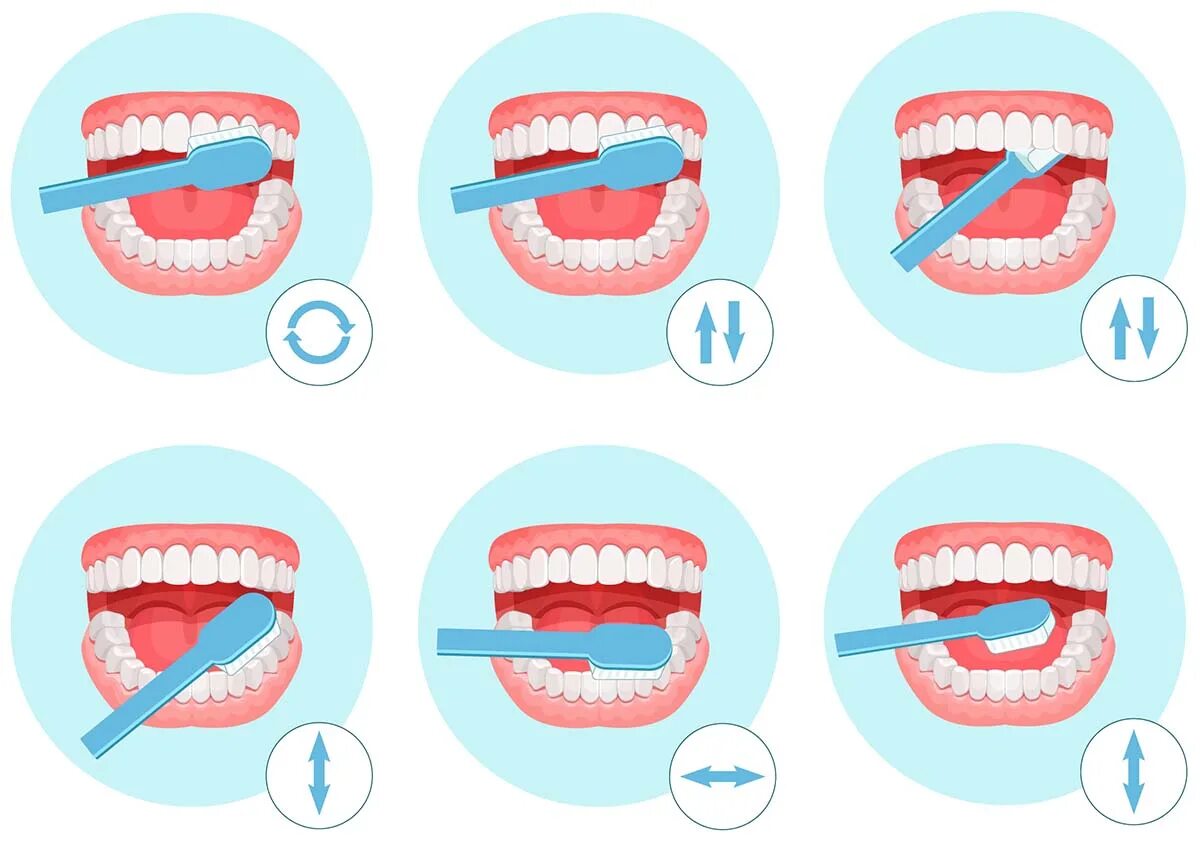 Можно чистить зубы при посте. Схема правильной чистки зубов. Стандартный метод чистки зубов схема. Схема чистки зубов для детей. Техника чистки зубов в картинках.