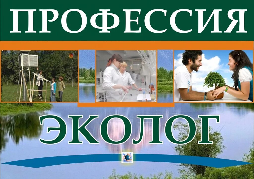 Что выполняет эколог. Профессия эколог. Заиколог. Проессич экологи для детей. Моя профессия - эколог.