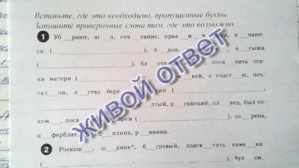 Запишите вставляя данные в скобках. Запиши проверочные слова вставь пропущенные буквы. запиши в скобках проверочные слова вставь пропущенные буквы. запиши в скобках проверочные слова. запиши проверочные слова вставь буквы.