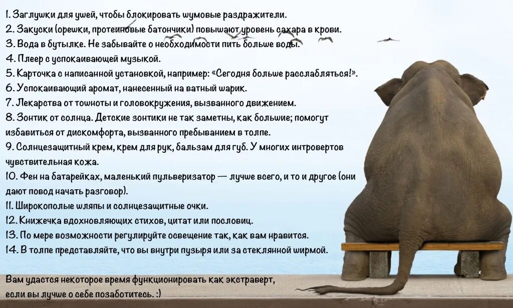 Интроверты 40