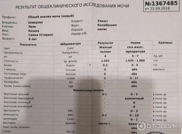 Айболит казани результаты анализов. Айболит казани результаты анализов. Айболит казань. Прайс анализы айболит. Сеть медицинских центров айболит.