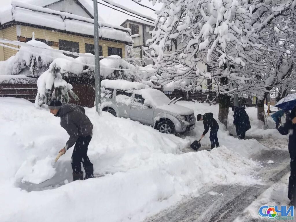 в сочи сильный снег. песчаный дождь в сочи. похолодание в сочи. снег в сочи сейчас. снегопад в сочи.