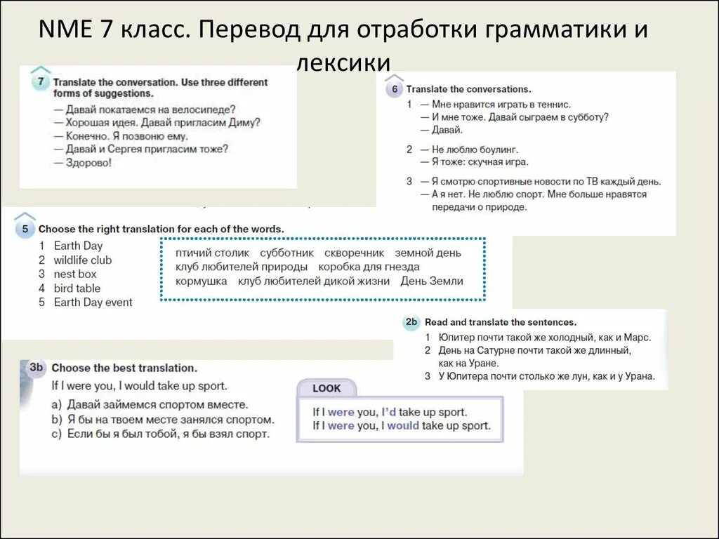 Отработка грамматики. Этап отработки грамматики. Переводчик с грамматикой. Обучение переводу.