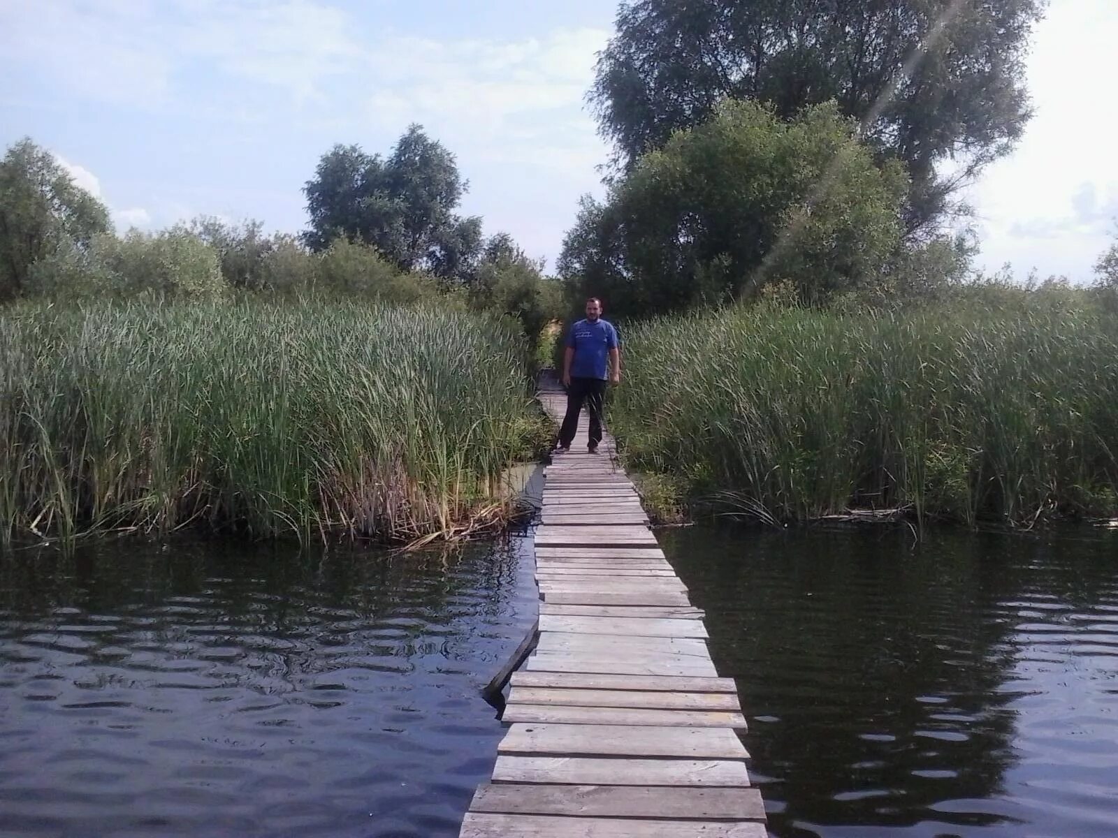 Коммуна пруд. Жирные щи пруд воронеж. Парижская коммуна поселок. Пруд молодежный стаханов в 1980. Пруд березки в парижской коммуне.