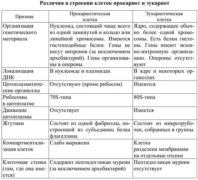 Сравнение клеток прокариотов. Строение прокариотической и эукариотической клетки таблица. Строение эукариотной клетки таблица. Строение прокариотической клетки таблица. Различия в строении клеток эукариот и прокариот таблица.