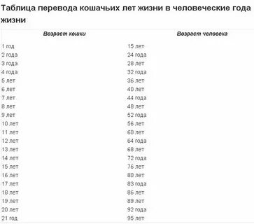 Сколько котятам лет по человеческим меркам