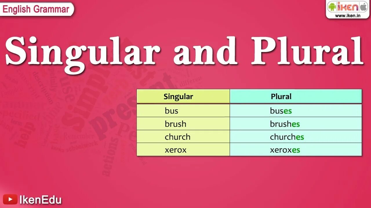 The correct plurals
