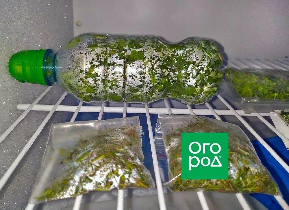 Как заморозить локатор