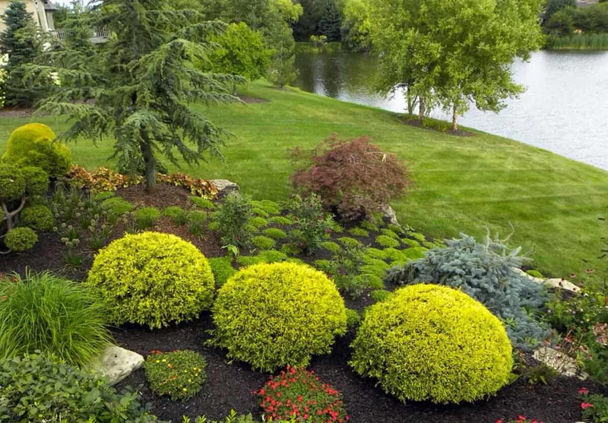 Декоративный сад оренбург. Лорн хэнкок ландшафтный дизайнер. Розарий рабатка. Композиция вяз плакучий с гортензией. Декоративный сад оренбург хутор степановский каталог.