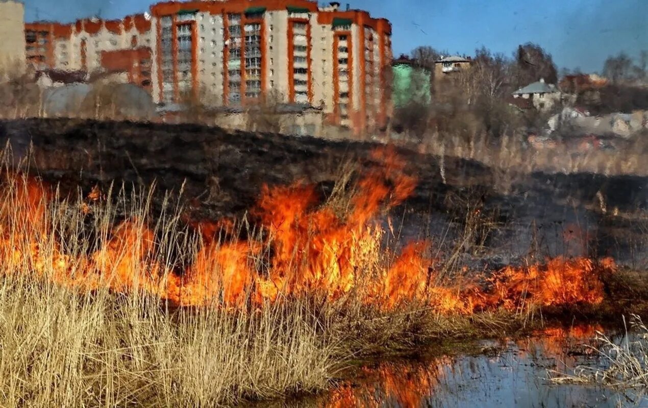 Поджог травы. Пал травы. пожар весной. весенний пал травы. весенние пожары.