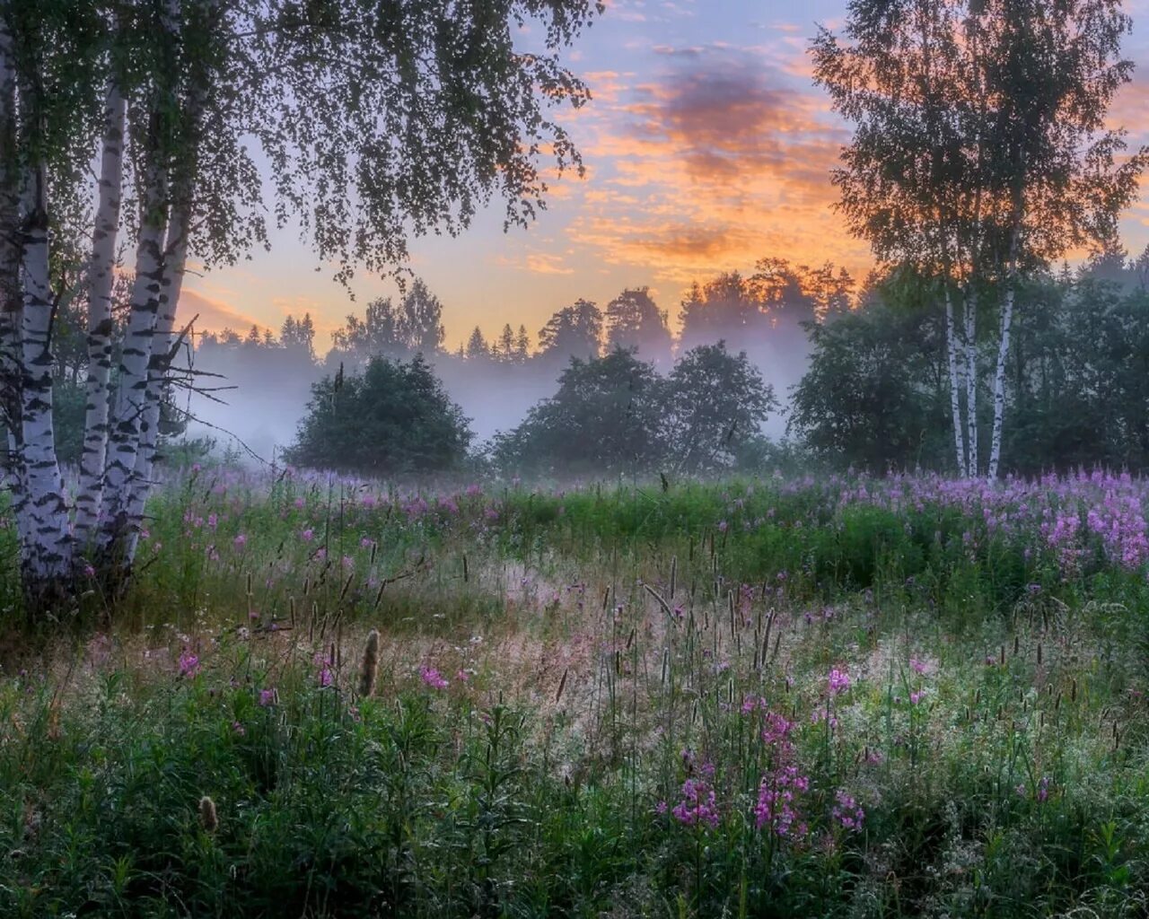 Красота русской природы. Пейзажи России. Летний пейзаж. Красивая русская природа. Добрый первый вечер весны