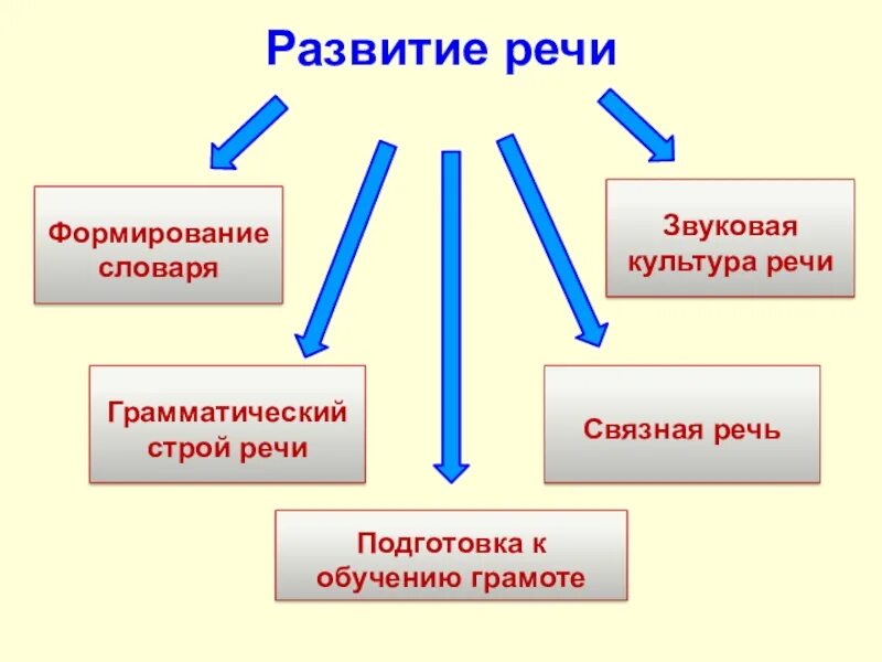 Развитие словаря. Формирование словаря. Звуковая культура речи. Формирование словаря и грамматического строя речи:
