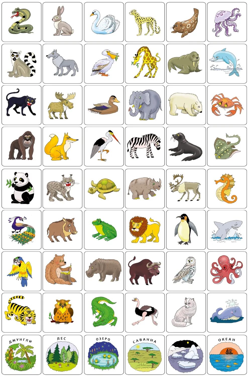 Игра изобрази слова. Дети животных названия. Карточки животные для детей. Игровые карточки для детей. Крокодил для детей карточки.