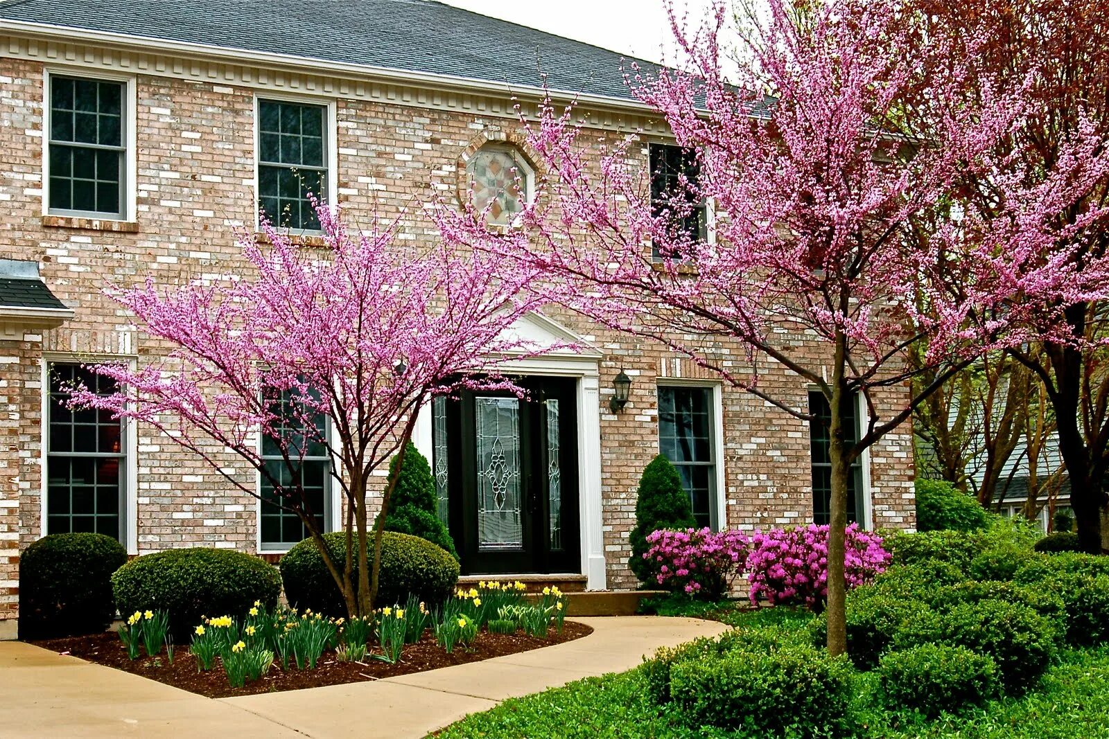 красивый дом весна. Spring house. Spring house. домик весной. домик в весеннем саду.