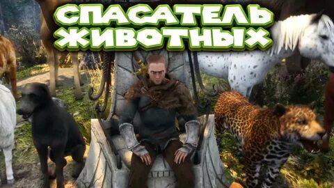 Игра где спасать животных