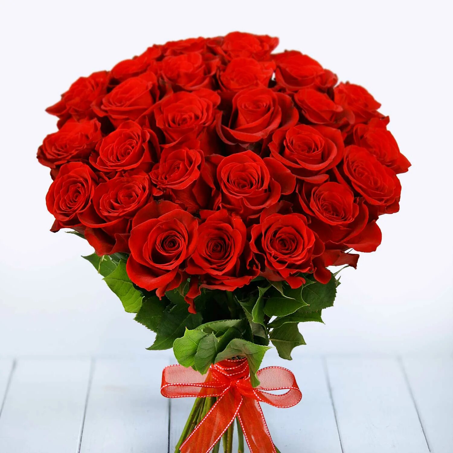 Большая красная 25. Букет из 25 роз Фридом. Букет из розы Фридом. Красивые большие букеты. Красивый букет красных роз.
