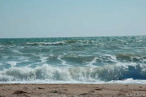 Азовское море состояние