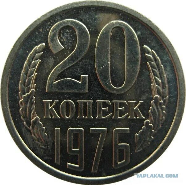 Забрать монеты. Монеты на аске. картинка возьми монеты. монеты в аск ми. взять монеты и пойти на улицу под дерево.