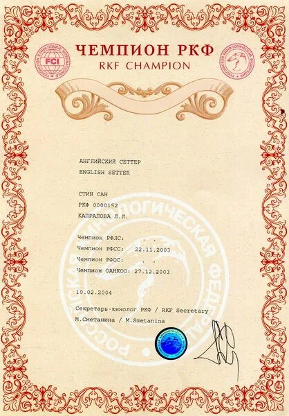 Титул чемпион ркф. Диплом чемпион ркф. Чемпион ркф. Сертификат чемпион ркф. Юный гранд чемпион ркф.