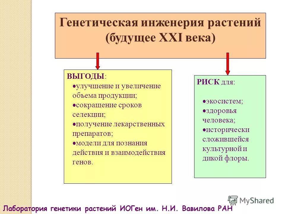Картинки У РАСТЕНИЙ ЕСТЬ ГЕНЫ