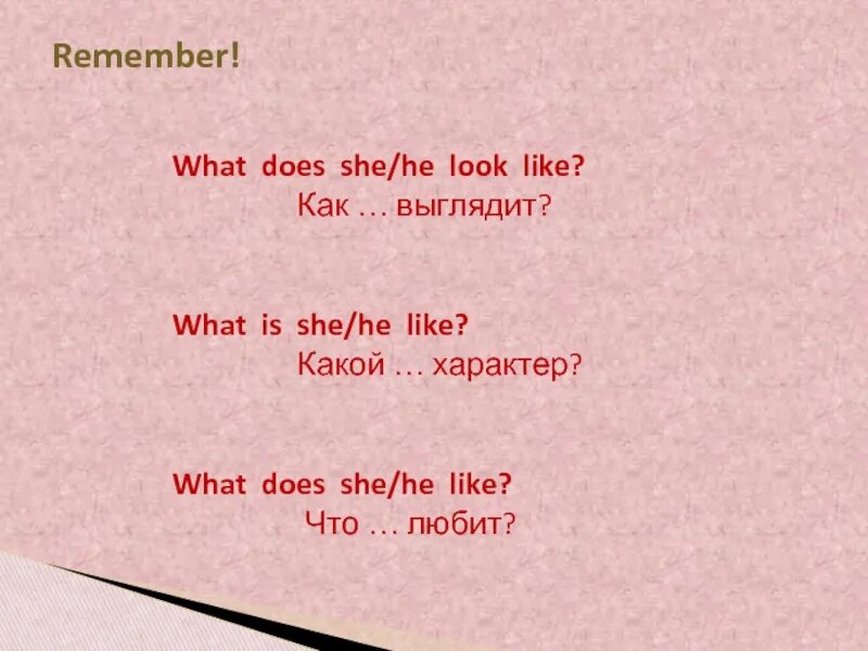 What did he mean. What is he like и what does he look like разница. What is she like what does she look like разница. Look like to be like разница. What does he look like ответ на вопрос.